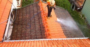 roof-cleaning_5